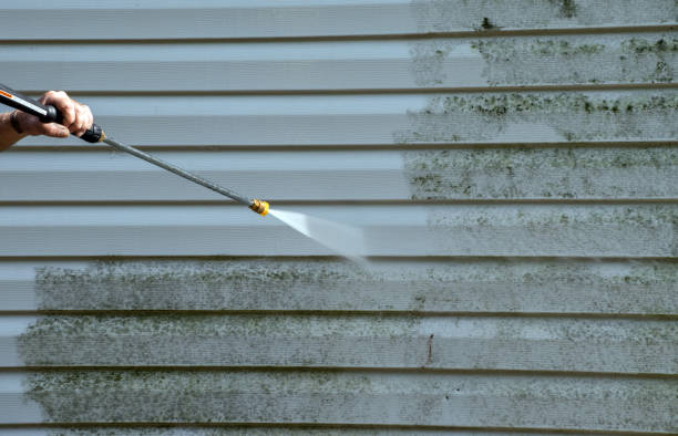 Best Gutter Cleaning  in Shinglehouse, PA